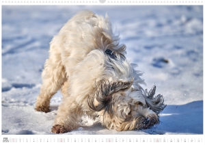 Kalender-Filou-2026_Seite_03