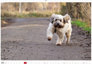 Kalender-Filou-2026_Seite_04