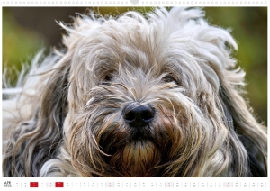 Kalender-Filou-2026_Seite_05