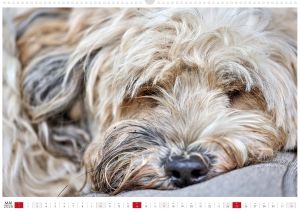 Kalender-Filou-2026_Seite_06