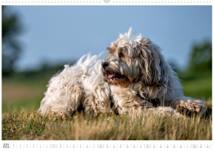 Kalender-Filou-2026_Seite_07