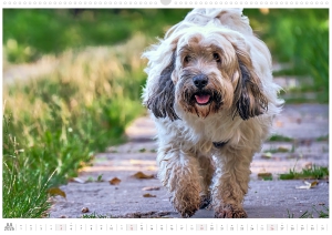 Kalender-Filou-2026_Seite_08