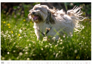 Kalender-Filou-2026_Seite_09