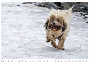 Kalender-Filou-2026_Seite_10