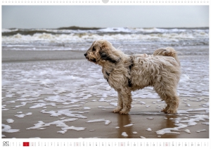 Kalender-Filou-2026_Seite_11