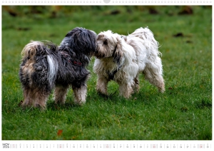 Kalender-Filou-2026_Seite_12