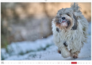 Kalender-Filou-2026_Seite_13
