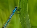 Nikon D7200 f/8 1/160s ISO-250 105mm