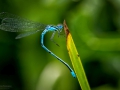 Nikon D7200 f/8 1/160s ISO-400 105mm
