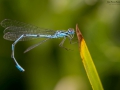 Nikon D7200 f/8 1/160s ISO-400 105mm