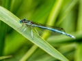 Nikon D800 f/10 1/320s ISO-320 105mm