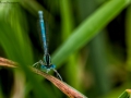 Nikon D800 f/10 1/160s ISO-320 f/10