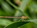 Nikon D800 f/9 1/250s ISO-320 105mm