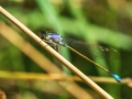 Nikon D800 f/13 1/500s ISO-320 105mm