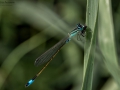Nikon D800 f/13 1/160s ISO-320 105mm