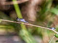 Nikon D800 f/9 1/500s ISO-320 105mm