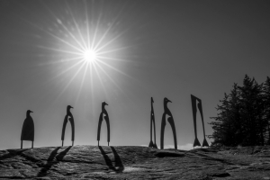 2025-08-17-17-27-21-NZ8_5195