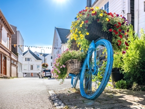 2025-08-25-15-32-15-NZ8_7641