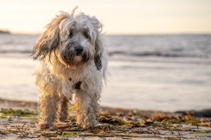 2025-12-31-14-46-11-NIKON-Z-8