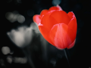 2026-04-15-17-57-53-GFX100S-II-2