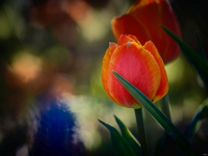 2026-04-15-17-58-39-GFX100S-II