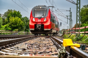 2025-09-12-08-34-13-NIKON-Z-6_2