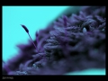 800_6560