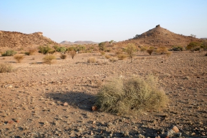 Landschaft