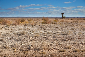 Landschaft