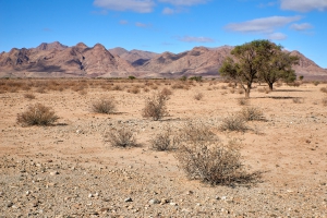 Landschaft