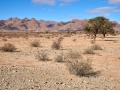 Landschaft