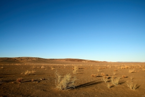 Landschaft