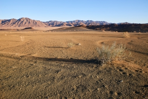 Landschaft