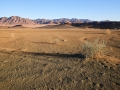 Landschaft