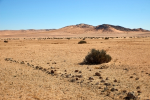 Landschaft
