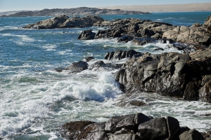 Shark Island