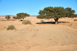 Landschaft