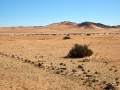 Landschaft