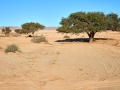 Landschaft