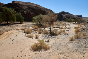 Am Kuiseb-Canyon