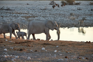 N_179