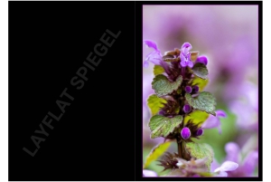 2026-05-13_Fotomagazin_Natur-und-Farben_2_2_Seite_02