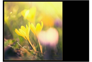 2026-05-13_Fotomagazin_Natur-und-Farben_2_2_Seite_03