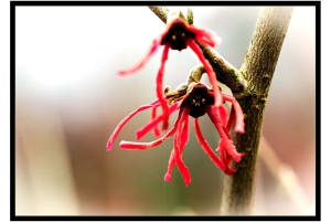 2026-05-13_Fotomagazin_Natur-und-Farben_2_2_Seite_04