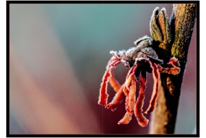 2026-05-13_Fotomagazin_Natur-und-Farben_2_2_Seite_05
