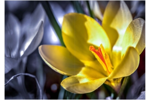 2026-05-13_Fotomagazin_Natur-und-Farben_2_2_Seite_06