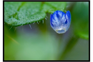 2026-05-13_Fotomagazin_Natur-und-Farben_2_2_Seite_07