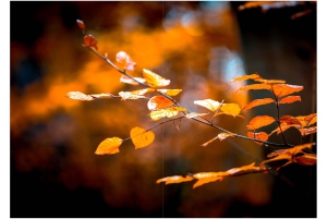 2026-05-13_Fotomagazin_Natur-und-Farben_2_2_Seite_08