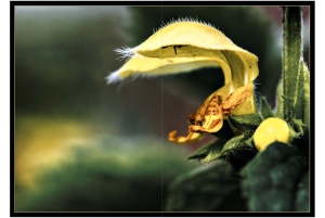 2026-05-13_Fotomagazin_Natur-und-Farben_2_2_Seite_09