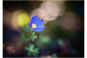2026-05-13_Fotomagazin_Natur-und-Farben_2_2_Seite_10